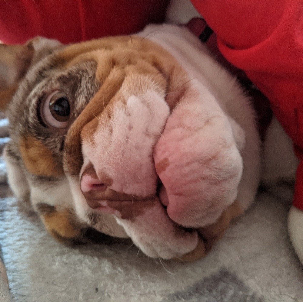 Meet your Posher, Dominic